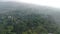 Flying between the palms, trees in a tropical forest, bogor, West Java, Indonesia