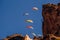 Flying of paragliders above autumn rocky mountains