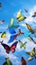 Flying parrots and butterfly