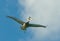 Flying pelican, los roques islands, venezuela