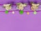 Flying pigs on a ribbon with flowers on purple background - room for text