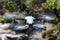 Flying quadrocopter on a background of green foliage, close-up