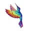 Flying rainbow hummingbird on white background