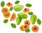 Flying ripe papaya fruits with green leaves isolated on white background. exotic fruit. clipping path