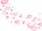 Flying sakura petals, rose flower, cherry blossom