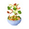 Flying salad. Cartoon bowl with healthy organic ingredients. Green arugula leaves, tomato slices and shrimps. Vegetable