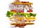 Flying sandwich. Flying layers of sandwich. Well roasted patty, Ham, cheese and vegetables between two halves of an