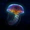 Flying saucer jellyfish wallpaper background or etc.