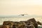 Flying seagull above stony beach blocks. Seashore and clear sky background