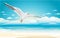 Flying seagull on Beach