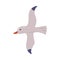 Flying Seagull, Gull Bird, Summer Travel and Vacation Symbol Cartoon Style Vector Illustration