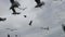 flying seagulls against grey cloudy sky, flock of birds is catching bread, thrown by human