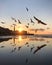 Flying seagulls at amazing sunset with view of promenade of Sevastopol, Crimea