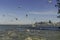 Flying seagulls in front of San Francisco skyline, CA, USA