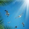 Flying seagulls over clear sky