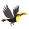 Flying toucan icon, cartoon style