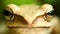 Flying Tree Frog Macro Head And Eyes Portrait Close Up