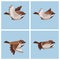 Flying Tree Sparrow animation sprite sheet