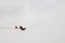 Flying vintage aircraft against a cloudy sky during an airshow