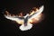 Flying White Dove with Fiery Glow on a Dark Background, Embodying Peace and the Gifts of the Holy Spirit. created with Generative