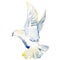 Flying white dove watercolor illustration. white pigeon isolated on white.