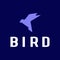 Flying Wings Bird Logo abstract design vector. illustration vector of bird logo. brid logo vector