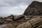 Flysh Cliffs near  Zumaia