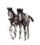 Foal oriental ink painting, sumi-e
