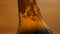 Foam in a brown bottle of beer (closeup, LR Pan)