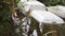 Foam food containers floating in clean water flowing in a small canal