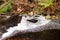 Foam forming on the water surface just downstream from the Lake Margaret dam spillway