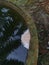 Foam nest of frog`s egg floating on the surface water.