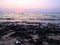 foam plastic bamboo pollution on beach sunset background