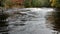 A foam, slowly floated on a river surface after a small rapid