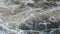 Foamy, aerated and turbulent water in rapids of the Poudre River