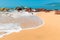 Foamy ocean wave on a sandy beach