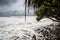 Foamy and rocky coastline in Alexandra Headland Beach with a palm tree in the foreground