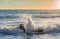 Foamy sea wave splash against rock with idyllic dusk sky