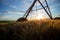 Focal ears of ripe wheat at sunset. Above is an irrigation system and next to it is a corn field