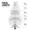 Focal length and angle of view