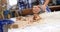 Focus on a beautiful carpenter sanding a wooden plank