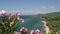 Focus from coastline and beach to pink flower at Thassos island, Greece