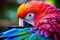 focus on colourful feathers of a tropical bird