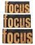 Focus concept in wood type