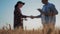 Focus on the ears of wheat. Team farmers stand in a wheat field with tablet and controlling their crops. Agronomists