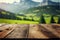 Focus empty wood table with blurred natural tree meadow background.