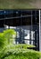 In focus in the foreground, green ferns in the garden at Cannon Bridge Roof Garden. In soft focus in the background, spiral stairs