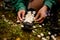 focus on the hands of woman who lays out chamomile flowers on sneakers