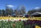 Focus on Masses of tulips in front of the Ferris Wheel