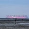 In the focus mudflats near fairway from Elbe river, brushwood waymarker and hikers, low